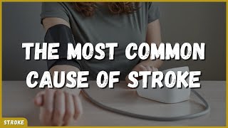 TH SINGLE BIGGEST RISK FACTOR OF STROKE Profile