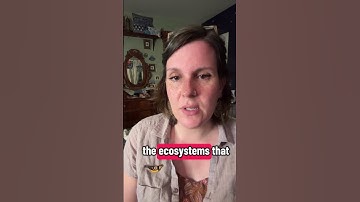 Vragen en antwoorden over de drie ethieken van permacultuur