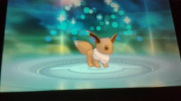 How to get Sylveon or Umbreon in pokemon oras