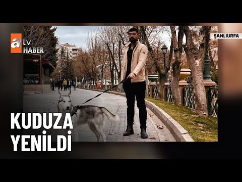 Genç mimar kuduza yenildi - atv Ana Haber 13 Temmuz 2023