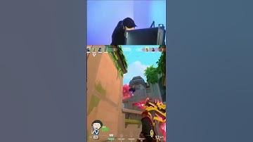 When stewie2k says he