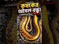 দাঁড়াস সপের চমকপ্রদ তথ্য