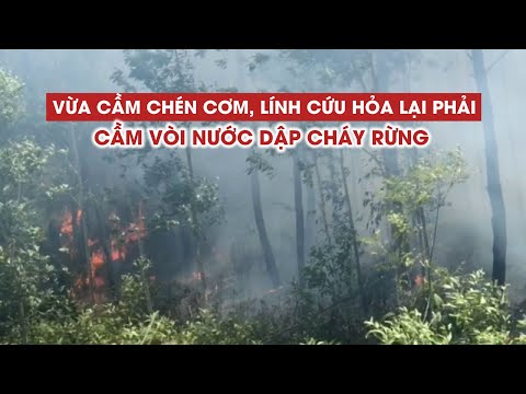 Vừa cầm chén cơm, lính cứu hỏa lại phải cầm vòi nước dập cháy rừng ở Thừa Thiên-Huế