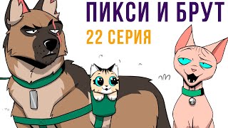 Пикси и Брут. 22 серия. Комиксы | Мемозг 1112