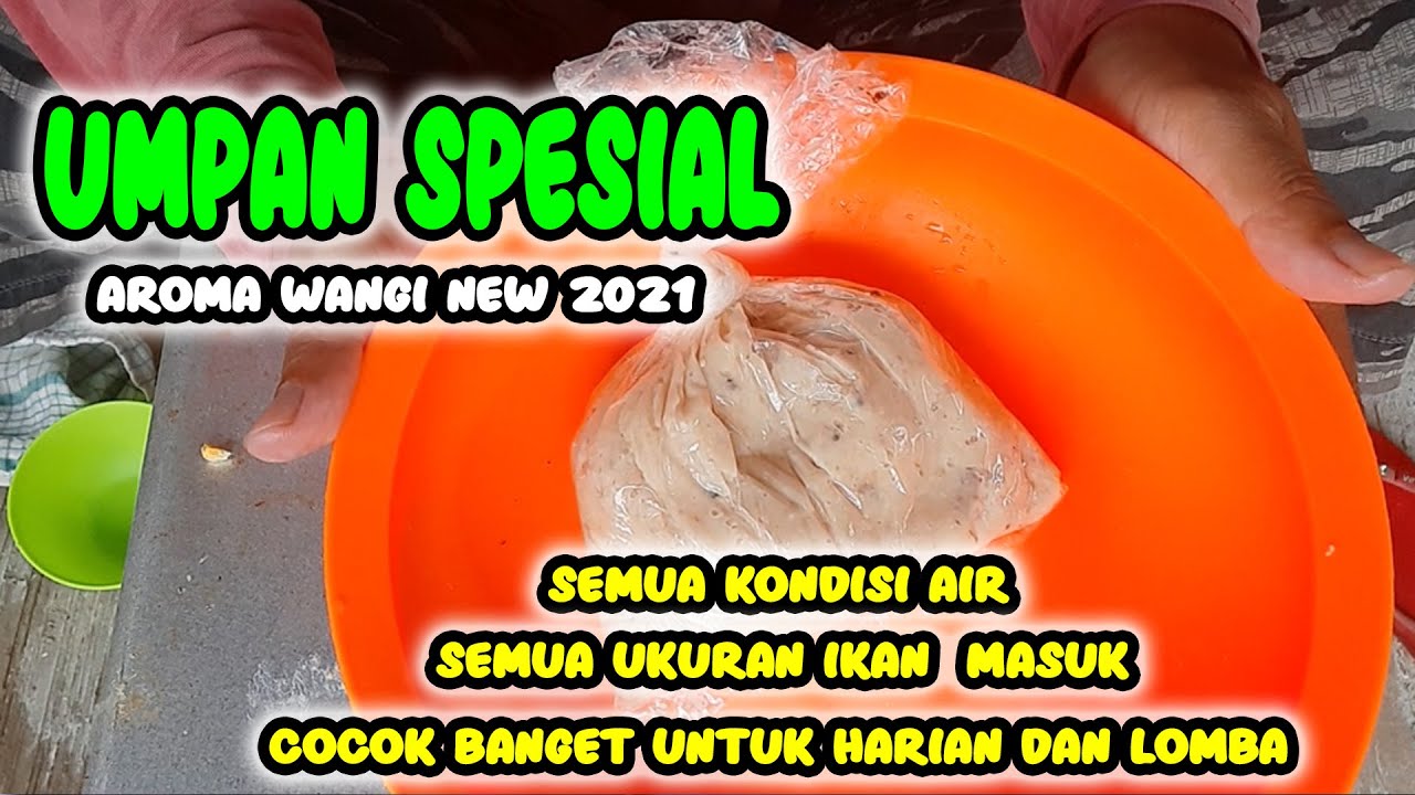 UMPAN KUKUS MANCING IKAN MAS || ENERGEN JAGUNG NEW || PALING DISUKAI
