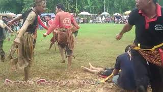 Terlalu banyak indang macan begini jadinya - Ebeg Turonggo Putra Pandawa Jaya Sari - Wiro Among Rogo