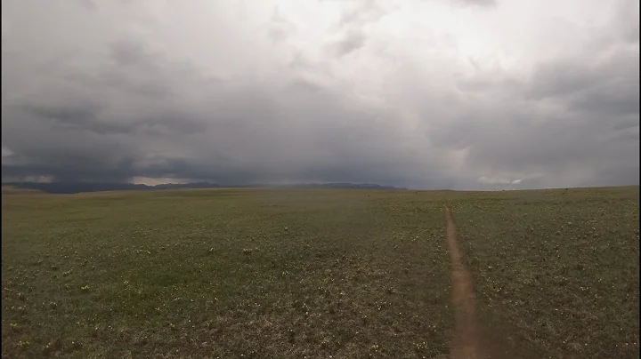 December 19 2025 A minor