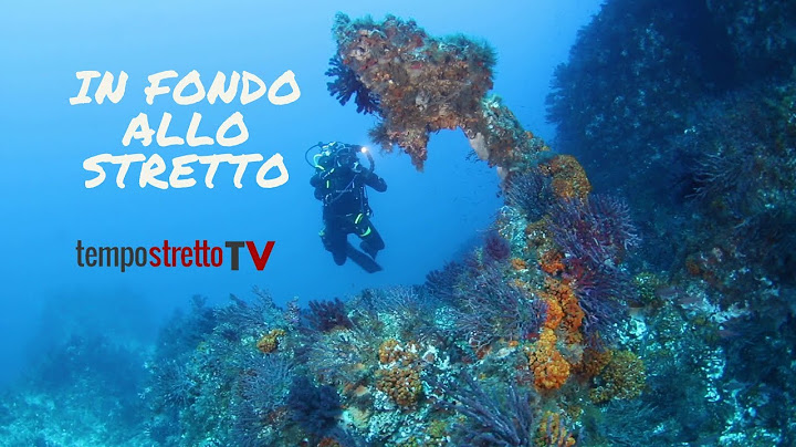 In fondo allo Stretto. Viaggio nei fondali del nostro mare, tra rifiuti e meraviglia