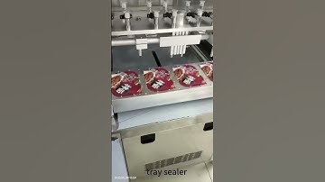Auto Continuous Aluminum Tray Sealer Film Food Instant Noodle Paper Cup Sealing Packing Machine