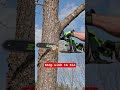 Tiny But Powerful EGO Chain Saw. #toolreview #woodworking