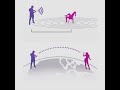 Magic Motion Flamingo Long distance control toy #vibrator #remotetoy #eggtoy #kegelsforwomen