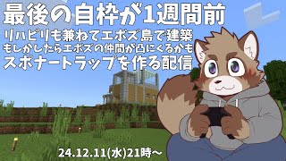 【Minecraft】配信リハビリマイクラ【エボズ島】