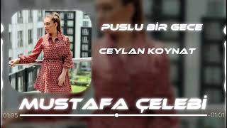 Ceylan Koynat - Puslu Bir Gece ( Mustafa Çelebi Remix) Resimi