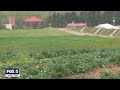 I-Team: Farmers worry who will pick GA fruits and vegetables during pandemic