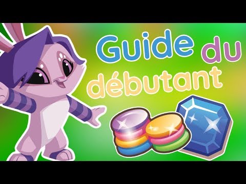 Le Guide du Débutant Animal Jam Play Wild !