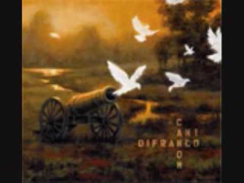 Ani Difranco-32 flavors