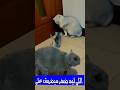 اللي ليه ضهر ميضربش على بطنه 
