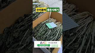 자주 먹으면 좋은 #무청시래기 #시래기소개 #시래기삶기 #e신선농장