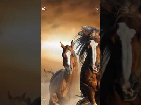 اروع ما سمعت في الادب العربي تائية أبي إسحاق الالبيري