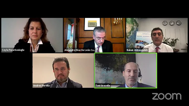 Climate Risk Management in the Financial Sector - COP26 Virtual Executive Panel