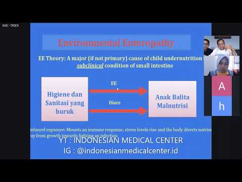 Video: Mempengaruhi Pilihan Mahasiswa Kedokteran Perawatan Primer Di Seluruh Dunia: Aplikasi Internasional Dari Empat Pilar Untuk Tenaga Kerja Dokter Perawatan Primer