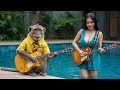 Viral Banget Monyet Main Gitar di Kolam Renang Russia