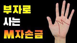 부자로 사는 M자손금/최고의 손금/말년운 좋은 손금/이런손금 운수대통한다/손금으로 보는 나의 운명/부자되는 …