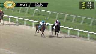 Vidéo de la course PMU RACE 8