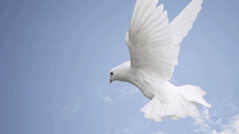 انس العمادي سوره الكهف من تراويح رمضان 1434