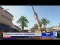 Christmas tree arrives at Citadel Outlets