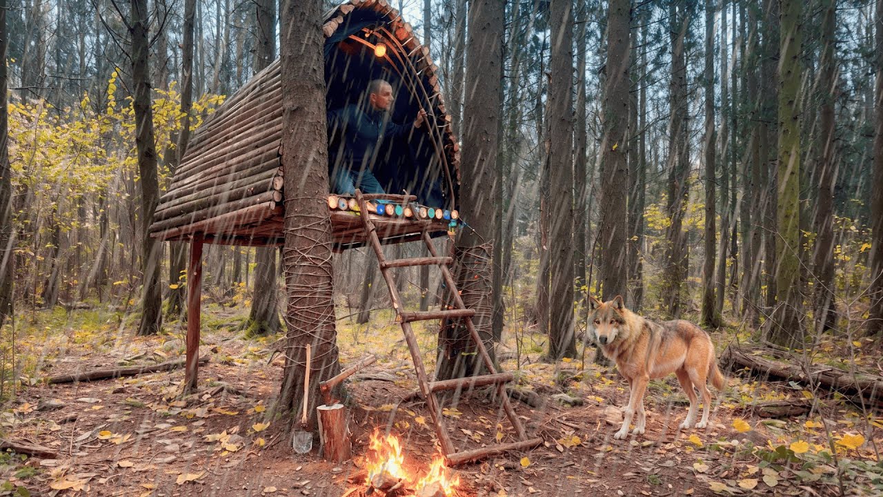 Built a cozy wooden shelter for survival in a cold forest! Bushcraft camping in the wild.