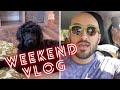 Weekend Vlog | Thrifting and Cooking
