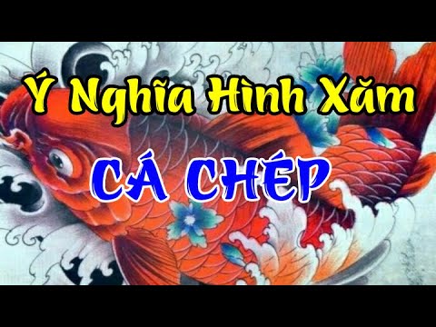 Ý NGHĨA HÌNH XĂM CÁ CHÉP | Mõ HD