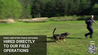 Hiring directly into the GCSO Field Operations Division