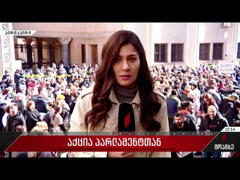 „ხალხის ძალის“ კანონპროექტებს აპროტესტებენ პარლამენტის შენობასთან