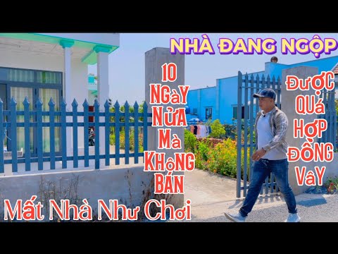 ngày 16/3. Ngộp lắm rồi anh chị. Có trả là chủ có bán. Dt:396m2. Mặt tiền 14m. Giá 1tỷ5. Nhà mới ken 2023 mới nhất