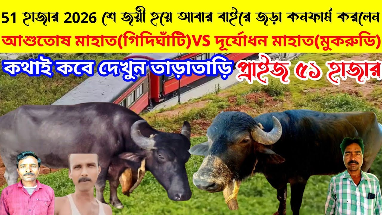 ৫১হাজার2026শে জয়ী হয়ে আবার বাইরে জড়া কনফার্ম হল,৫১হাজারে,আশুতোষ মাহাত গিদিঘাঁটি VS দূর্যোধন মাহাত
