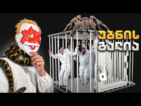 ვინ დატოვებს ბოლო უბნის გალიას?!