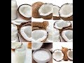 How To Make Virgin Coconut Oil At Home / Cold Pressed ...