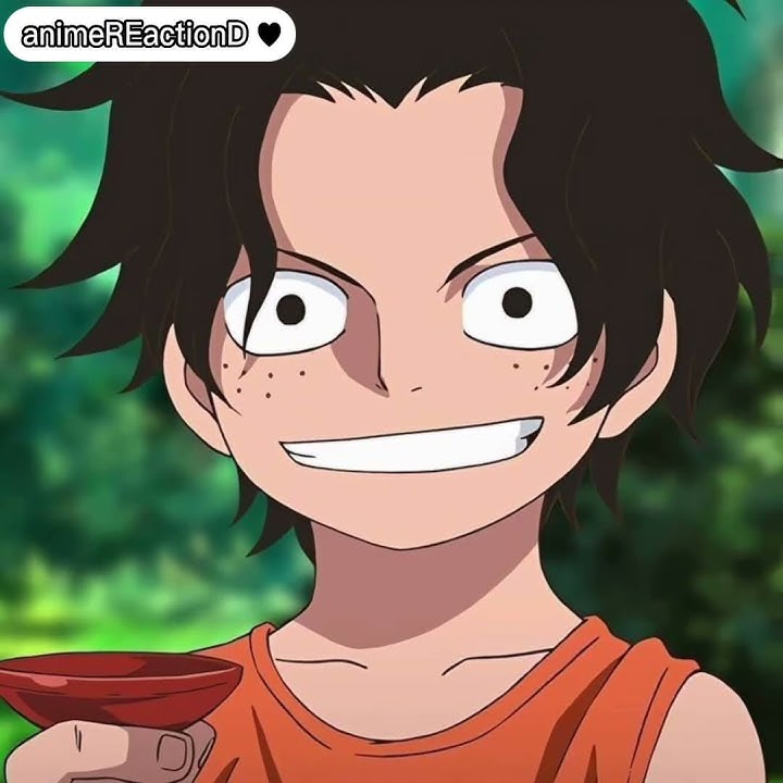 Wejangan Ace kepada kita!! Portgas D. Ace One piece