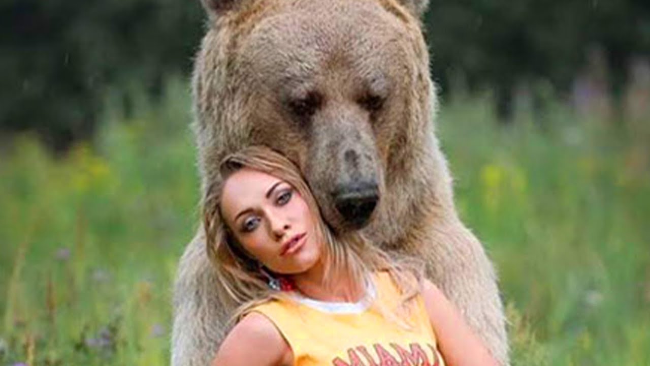 Big human. Фотосессия с медведем Степаном язык.