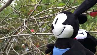 Felix And Oswald Find A Apple Tree
