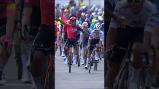 He celebrated like THIS ⁉️ 🔥  #cycling #cyclinglife #ineosgrenadiers