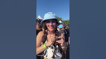 How To Sneak Booze Into A Festival 🍻