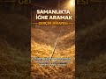 Dünyanın En Zor Görevi: Samanlıkta İğne Aramak #deyimler #tarih