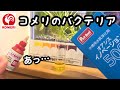 【コメリイノベーション検証】ほんとに硝酸塩下がるのか試してみた
