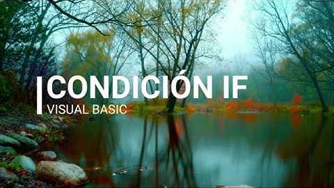 CONDICIÓN IF -  VISUAL BASIC - EJEMPLO MAYOR O MENOR DE EDAD