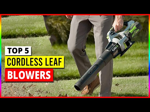 The best cordless leaf blowers of 2023