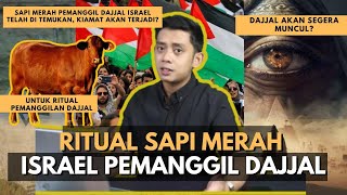 PERTANDA TURUNNYA DAJJAL? - ISRAEL TEMUKAN SAPI MERAH PEMANGGIL DAJJAL