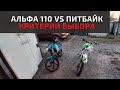 Альфа 110 или Питбайк. Что же все-таки лучше?